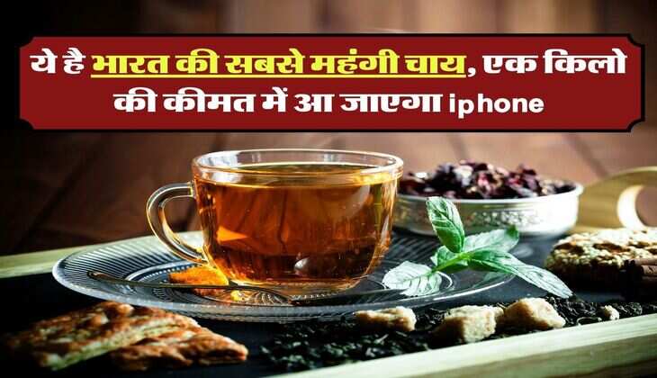 Most Expensive Tea : ये है भारत की सबसे महंगी चाय, एक किलो की कीमत में आ जाएगा iphone