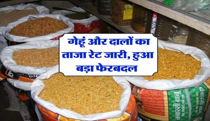 Mandi Bhav : गेहूं और दालों का ताजा रेट जारी, हुआ बड़ा फेरबदल&nbsp;