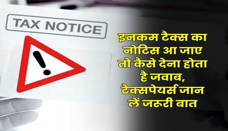 Income Tax Notice : इनकम टैक्स का नोटिस आ जाए तो कैसे देना होता है जवाब, टैक्सपेयर्स जान लें जरूरी बात