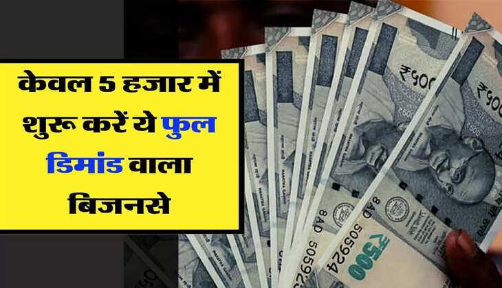 Business Idea: केवल 5 हजार में शुरू करें ये फुल डिमांड वाला बिजनेस, हर महीने होगी 30 हजार की कमाई 