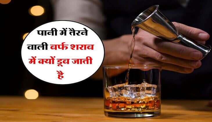 Ice in Alcohol : पानी में तैरने वाली बर्फ शराब में क्यों डूब जाती है, जानिये इसके पीछे की साइंस