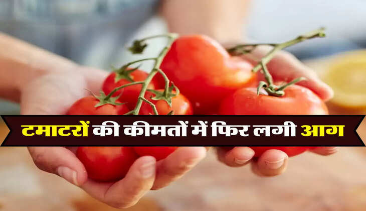 टमाटरों की कीमतों में फिर लगी आग