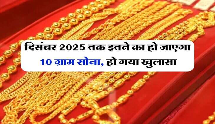 Gold Price : दिसंबर 2025 तक इतने का हो जाएगा 10 ग्राम सोना, हो गया खुलासा