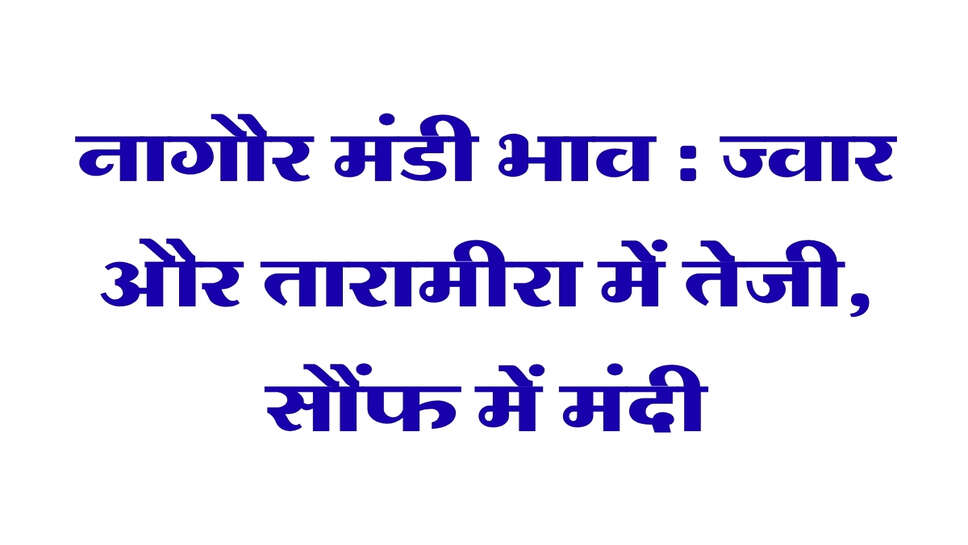 नागौर मंडी भाव 29 सितंबर 2026: ज्वार और तारामीरा में तेजी, सौंफ में मंदी