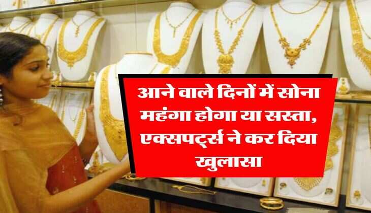Gold Rate 2025 : आने वाले दिनों में सोना महंगा होगा या सस्ता, एक्सपर्ट्स ने कर दिया खुलासा