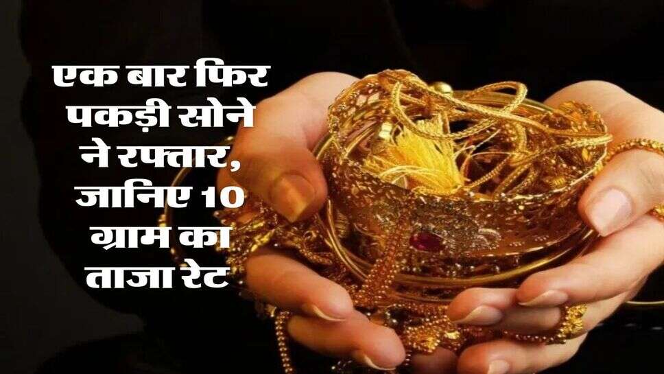 Gold Rate 14 August : एक बार फिर पकड़ी सोने ने रफ्तार, जानिए 10 ग्राम का ताजा रेट&nbsp;