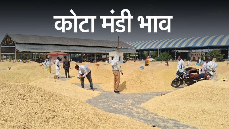 कोटा मंडी भाव: 1509 धान समेत कई किस्मों में तेजी, लहसुन 300, गेहूं 40 और चना 50 रुपए मंदे
