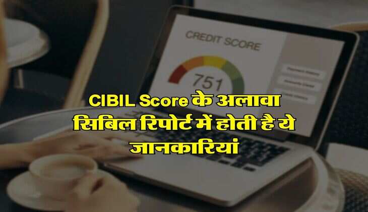 CIBIL Score के अलावा सिबिल रिपोर्ट में होती है ये जानकारियां, ज्&zwj;यादातर लोगों को नहीं है जानकारी