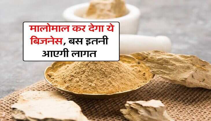 Business Idea : मालोमाल कर देगा ये बिजनेस, बस इतनी आएगी लागत