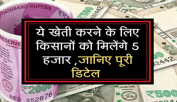 ये खेती करने के लिए किसानों को मिलेंगे 5 हजार ,जानिए पूरी डिटेल 