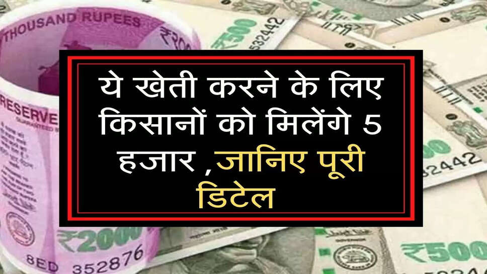 ये खेती करने के लिए किसानों को मिलेंगे 5 हजार ,जानिए पूरी डिटेल 