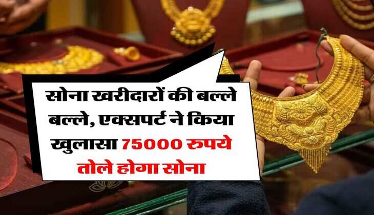 Gold Rate : सोना खरीदारों की बल्ले बल्ले, एक्सपर्ट ने किया खुलासा 75000 रुपये तोले होगा सोना 