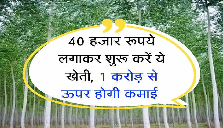 Tree Farming Business: 40 हजार रूपये लगाकर शुरू करें ये खेती, 1 करोड़ से ऊपर होगी कमाई 
