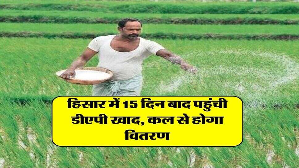 हिसार में 15 दिन बाद पहुंची डीएपी खाद, कल से होगा वितरण