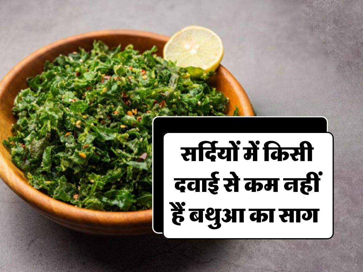 Bathua Saag Benefits : सर्दियों में किसी दवाई से कम नहीं हैं बथुआ का साग, जानिए इसके फायदे