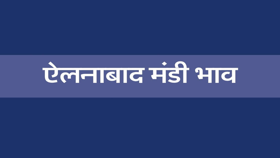 ऐलनाबाद मंडी भाव 25 अक्टूबर 2026: सरसों, चना और अरंडी तेज, मूंग-बाजरा मंदे