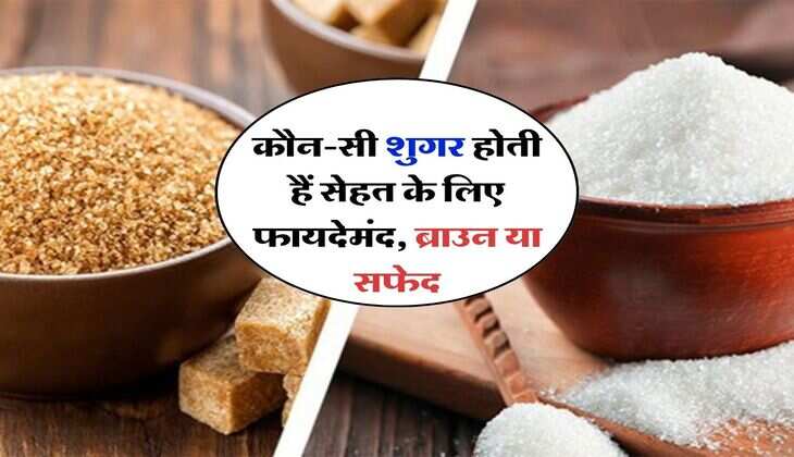 Health Tips : कौन-सी शुगर होती हैं सेहत के लिए फायदेमंद, ब्राउन या सफेद, जानिए...