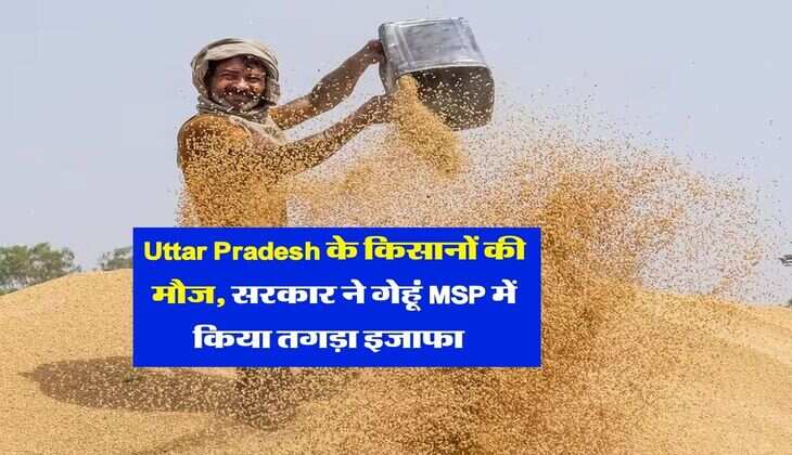 Uttar Pradesh के किसानों की मौज, सरकार ने गेहूं MSP में किया तगड़ा इजाफा&nbsp;&nbsp;