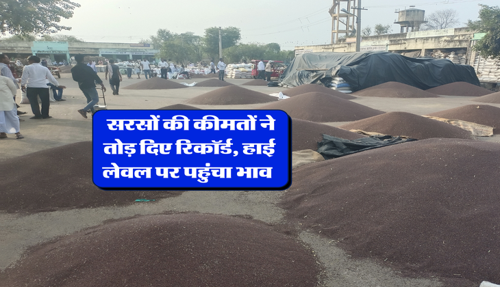Sarso ka mandi bhav : सरसों की कीमतों ने तोड़ दिए रिकॉर्ड, हाई लेवल पर पहुंचा भाव&nbsp;