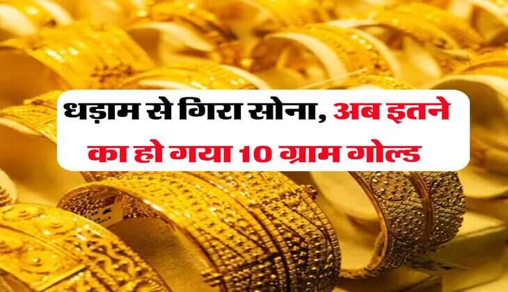 Gold Price 20 August :  धड़ाम से गिरा सोना, अब इतने का हो गया 10 ग्राम गोल्ड