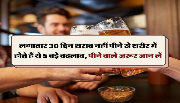 Wine Beer : लगातार 30 दिन शराब नहीं पीने से शरीर में होते हैं ये 5 बड़े बदलाव, पीने वाले जरूर जान लें