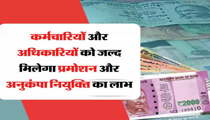 Karmchari Promotion कर्मचारियों और अधिकारियों को जल्द मिलेगा प्रमोशन और अनुकंपा नियुक्ति का लाभ, कैबिनेट ने सुनाया बड़ा फैसला