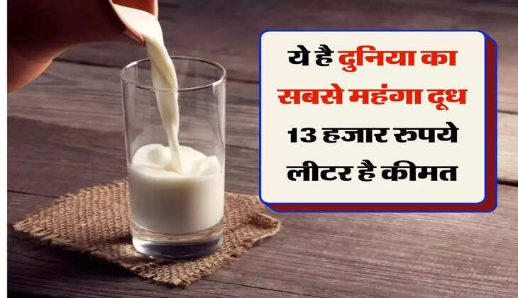 Most Expensive Milk : इस जानवर का दूध है सबसे महंगा, 13 हजार रुपये लीटर है कीमत