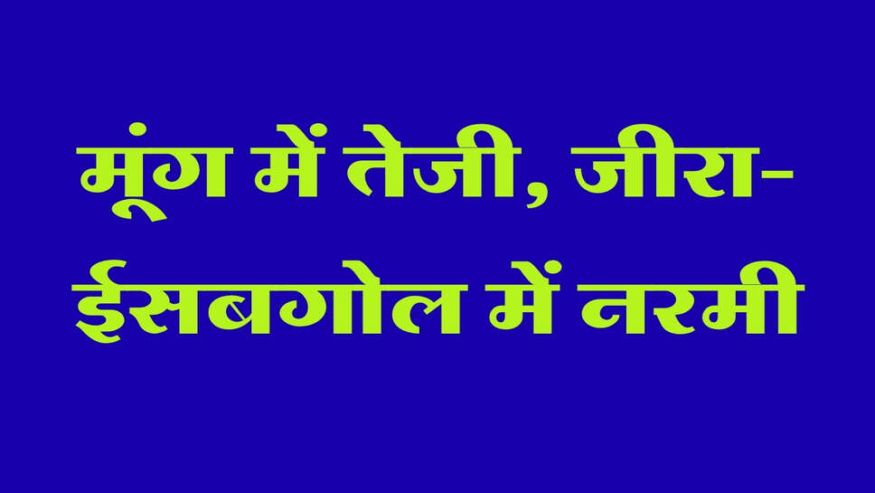 मेड़ता मंडी भाव 5 अक्टूबर 2026: मूंग में तेजी, जीरा-ईसबगोल में नरमी