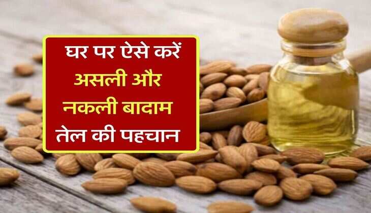 Pure vs Fake Almond Oil : कहीं आप तो नहीं कर रहे नकली बादाम तेल का इस्तेमाल, घर पर ऐसे करें असली नकली की पहचान