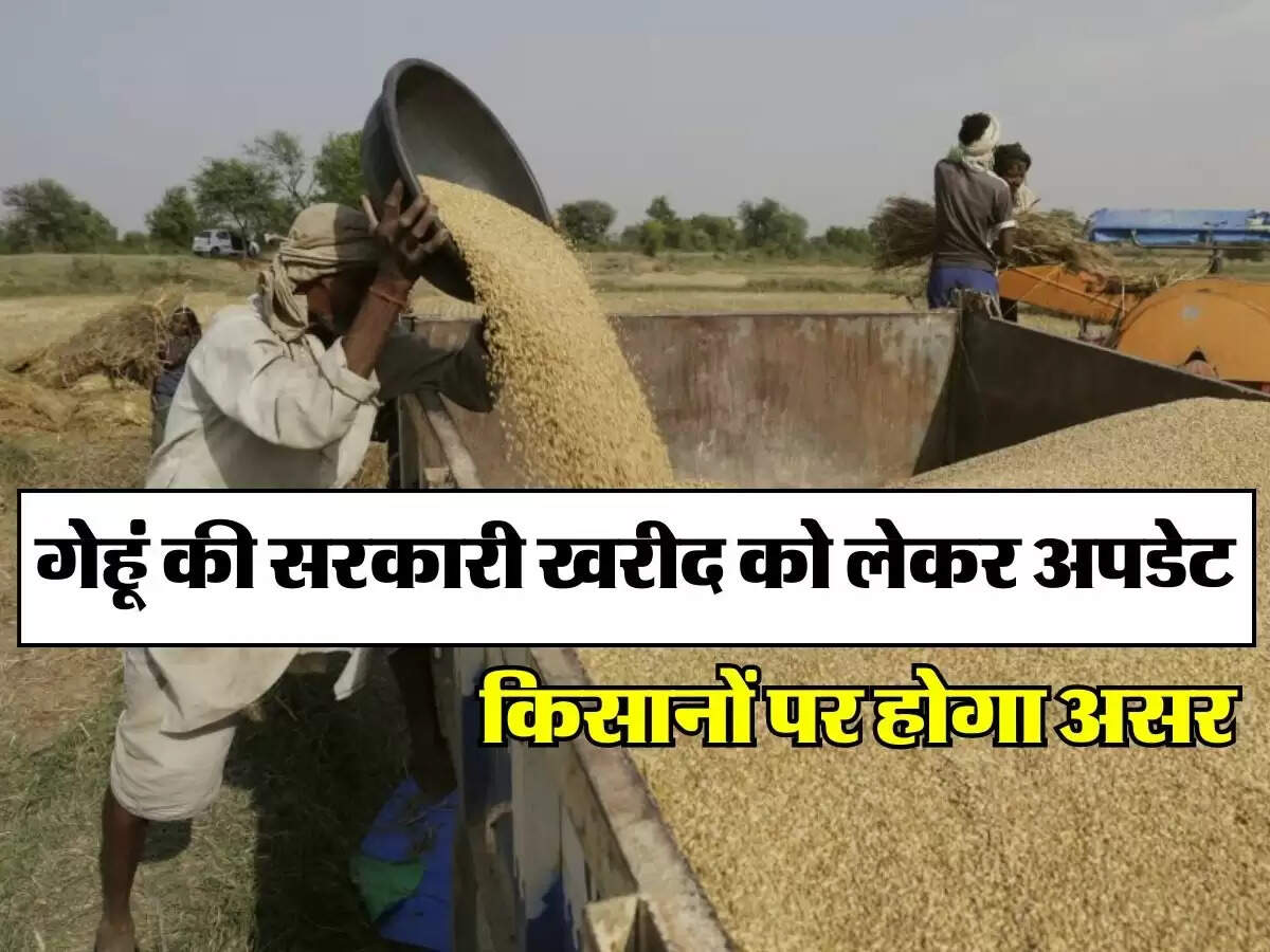 Gehu Sarkari Rate : गेहूं की सरकारी खरीद को लेकर अपडेट, किसानों पर होगा असर