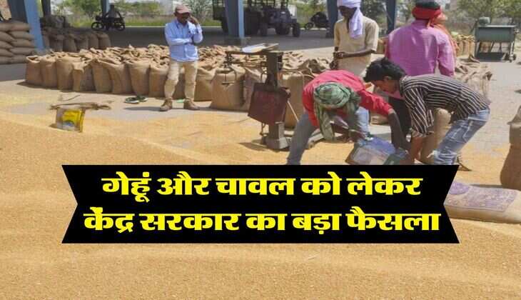 wheat rice price : गेहूं और चावल को लेकर केंद्र सरकार का बड़ा फैसला