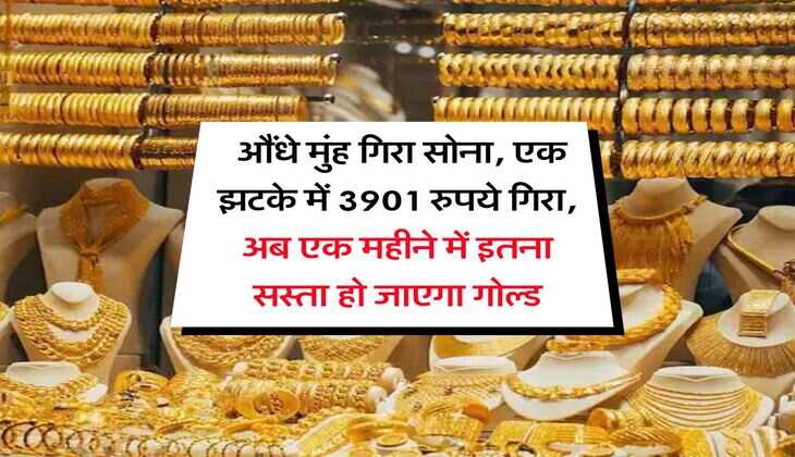 MCX Gold Rate : औंधे मुंह गिरा सोना, एक झटके में 3901 रुपये गिरा, अब एक महीने में इतना सस्ता हो जाएगा गोल्ड