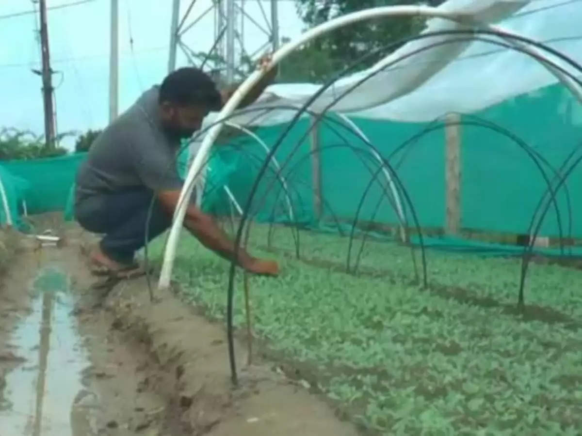 दिव्यांग किसान ने बदल ली अपनी किस्मत, एक साल में कमाए 85 लाख रूपये 