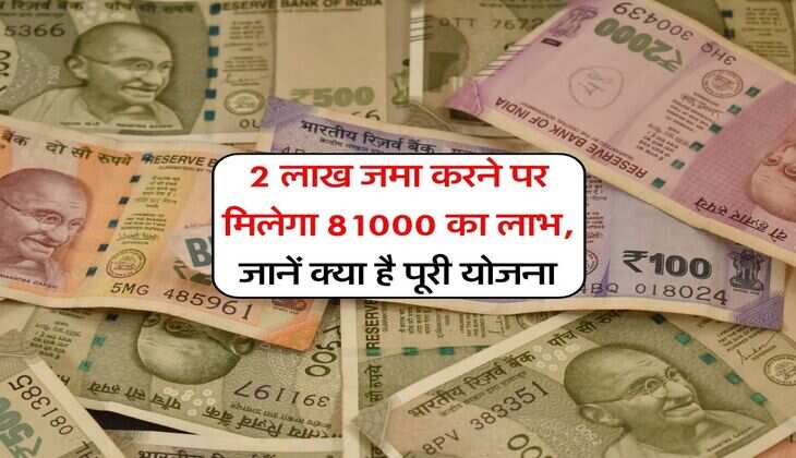 PNB Scheme : 2 लाख जमा करने पर मिलेगा 81000 का लाभ, जानें क्या है पूरी योजना