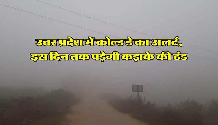 UP Weather Update : उत्तर प्रदेश में कोल्ड डे का अलर्ट, इस दिन तक पड़ेगी कड़ाके की ठंड