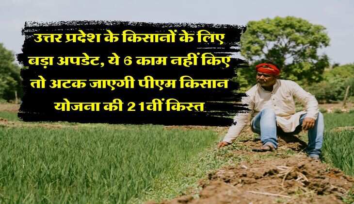 उत्तर प्रदेश के किसानों के लिए बड़ा अपडेट, ये 6 काम नहीं किए तो अटक जाएगी पीएम किसान योजना की 21वीं किस्त