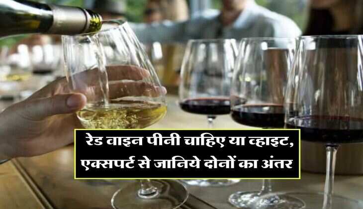 Alcohol facts : रेड वाइन पीनी चाहिए या व्हाइट, एक्सपर्ट से जानिये दोनों का अंतर