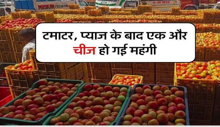 Garlic Price Hike : टमाटर, प्याज के बाद एक और चीज हो गई महंगी, फटाफट कर लें स्टॉक