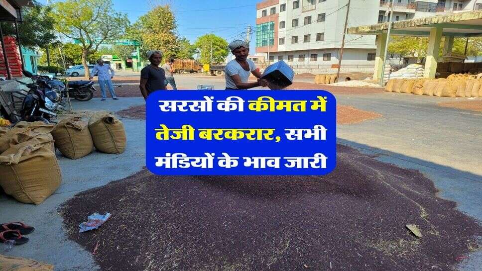 सरसों का भाव 10 अक्टूबर 2026 : सरसों की कीमत में तेजी बरकरार, सभी मंडियों के भाव जारी