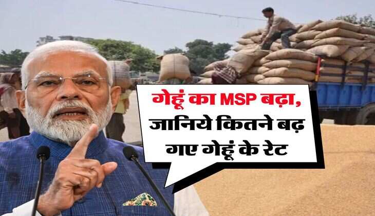 गेहूं का MSP बढ़ा, जानिये कितने बढ़ गए गेहूं के रेट
