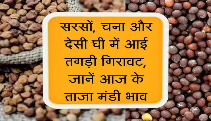  Aaj ka Mandi Bhav : सरसों, चना और देसी घी में आई तगड़ी गिरावट, जानें आज के मंडी भाव