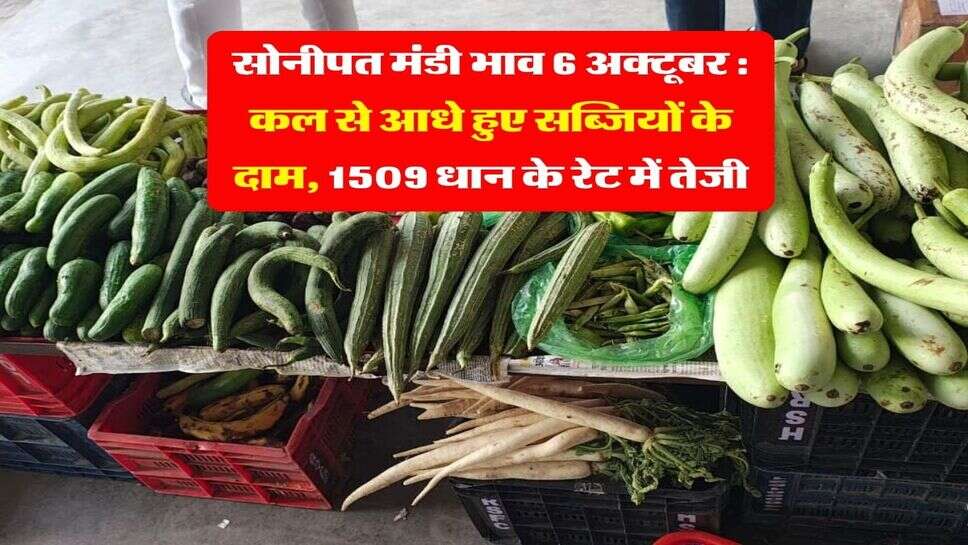 सोनीपत मंडी भाव 6 अक्टूबर : कल से आधे हुए सब्जियों के दाम, 1509 धान के रेट में तेजी
