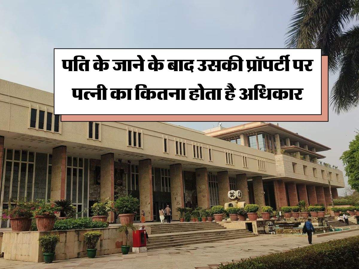 पति के जाने के बाद उसकी प्रॉपर्टी पर पत्नी का कितना होता है अधिकार, Delhi High Court ने किया क्लियर