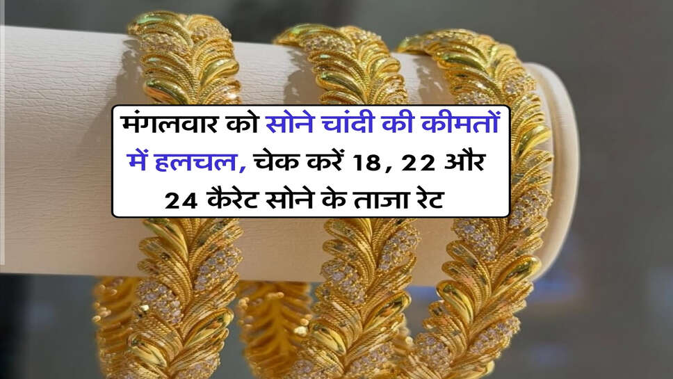 Gold Silver Price : मंगलवार को सोने चांदी की कीमतों में हलचल, चेक करें 18, 22 और 24 कैरेट सोने के ताजा रेट&nbsp;