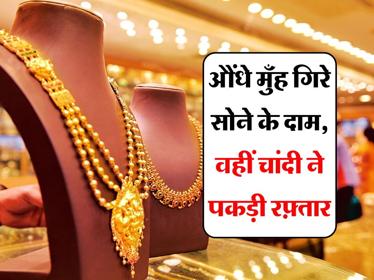 Gold Silver Price: औंधे मुँह गिरे सोने के दाम, वहीं चांदी ने पकड़ी रफ़्तार, जानें आपके शहर के ताजा भाव