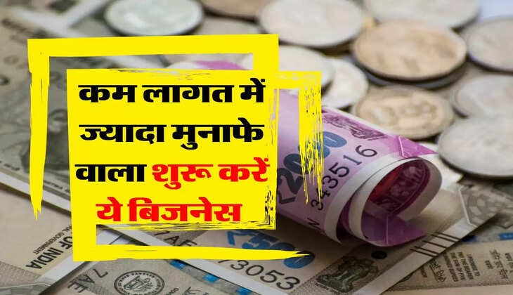 Business : कम लागत में ज्यादा मुनाफे वाला शुरू करें ये बिजनेस&nbsp;