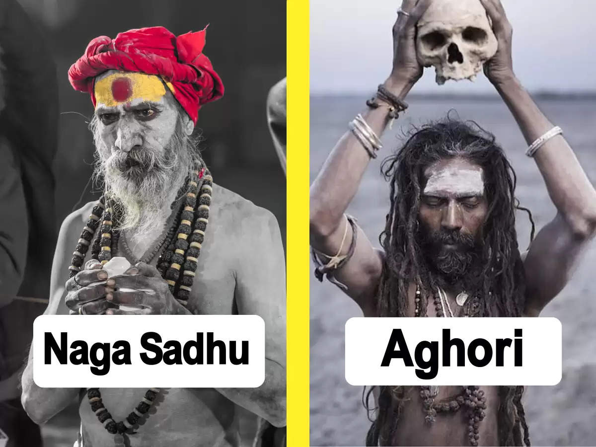 naga sadhu vs aghori 
