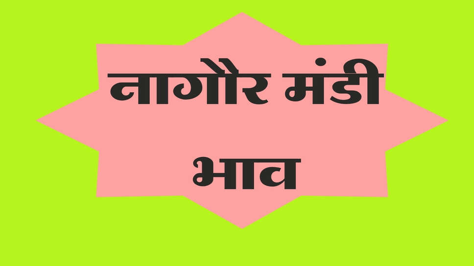 नागौर मंडी भाव 16 अक्टूबर 2026: जीरा और ईसबगोल में तेजी, ग्वार और मोठ के भाव में भी बदलाव