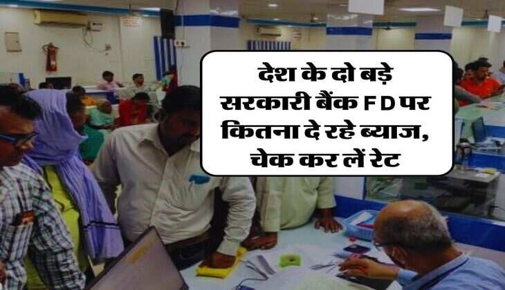 देश के दो बड़े सरकारी बैंक FD पर कितना दे रहे ब्याज, चेक कर लें रेट