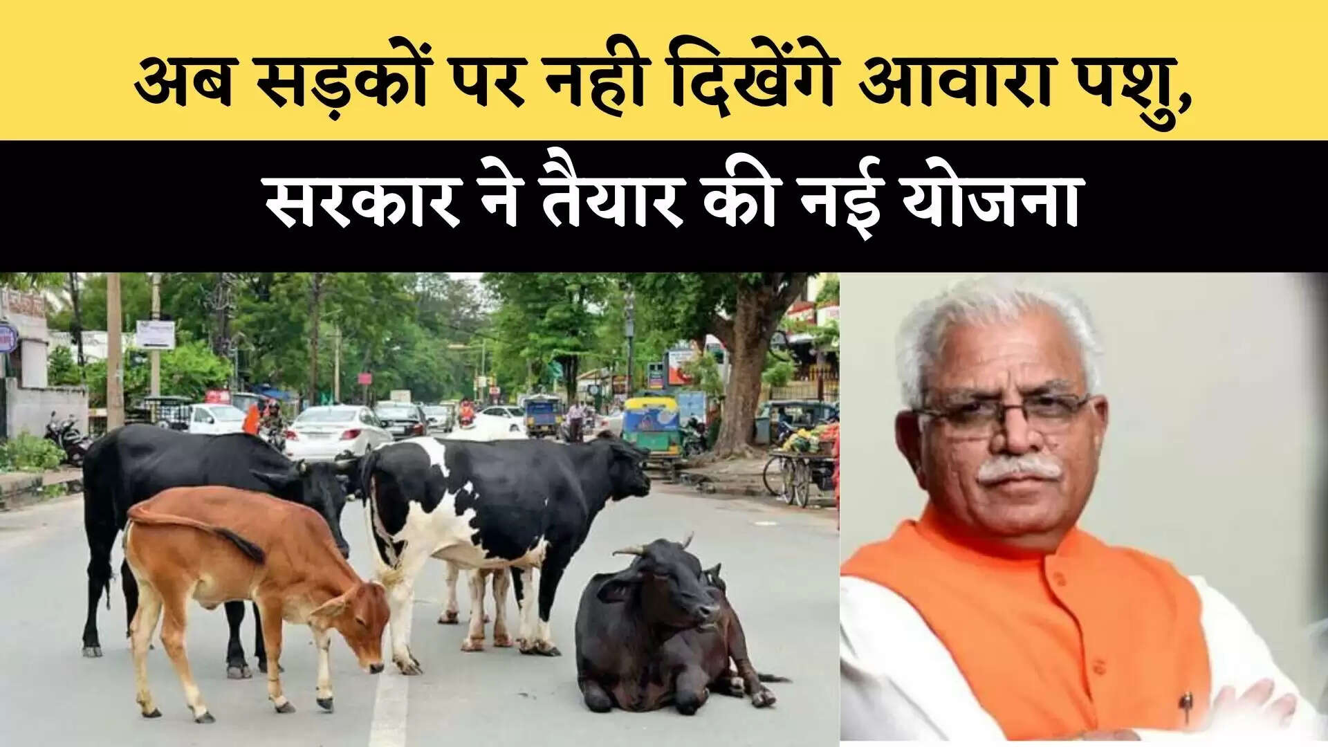 Haryana News
